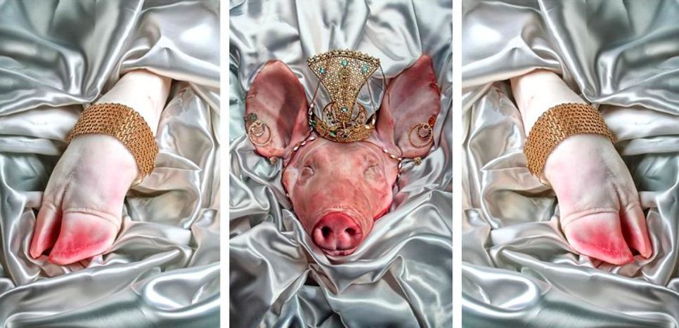 Image for "Carne" 2010: tra carneficina artistica e voyerismo intestino