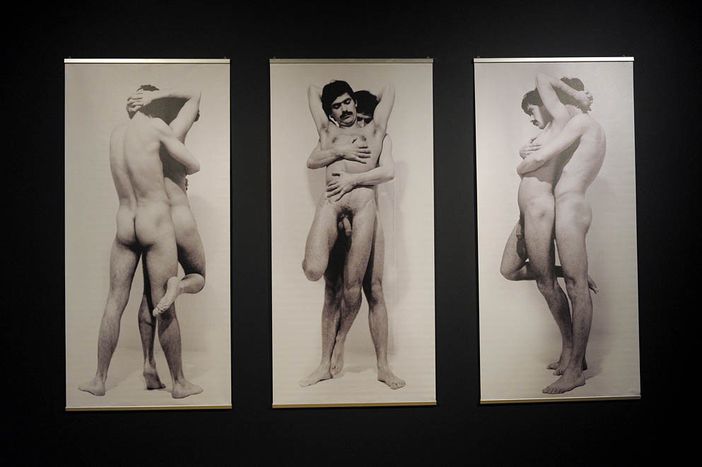 Image for Ars Homo Erotica: 'bring the toilet to Warsaw national museum'
