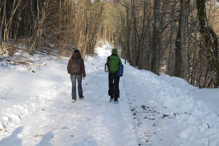 Image for Hippies ecologistas: un fin de semana sin carbono en Vosges, Francia