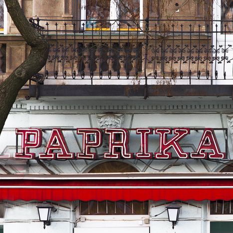 Image for Lights of Budapest: The Neon remnants of the socialist era