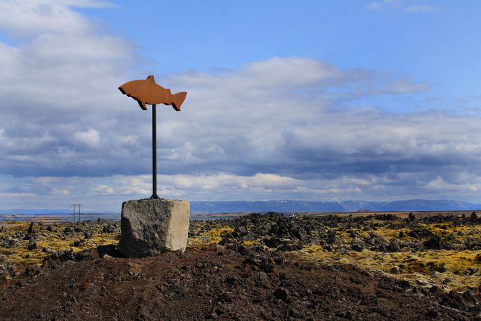 Image for Islande : les dents de l'assiette