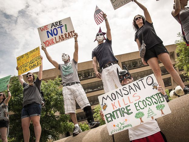 Image for Ogm: il mondo in marcia contro i pericoli della Monsanto