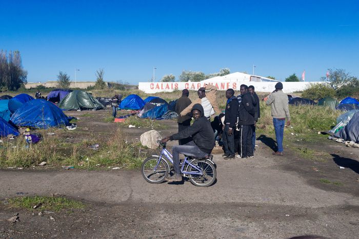 Image for One week to clear out the Calais Jungle