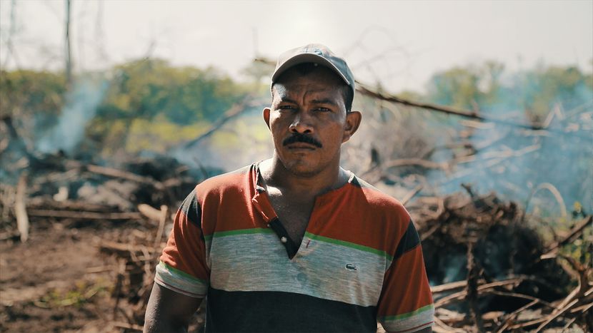 Image for « Frontera invisible », le côté obscur des biocarburants