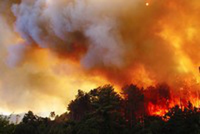 Image for A Europa e os incêndios florestais
